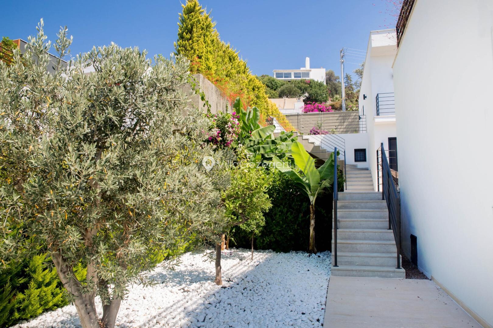 Villa Bambi 443 — 30
