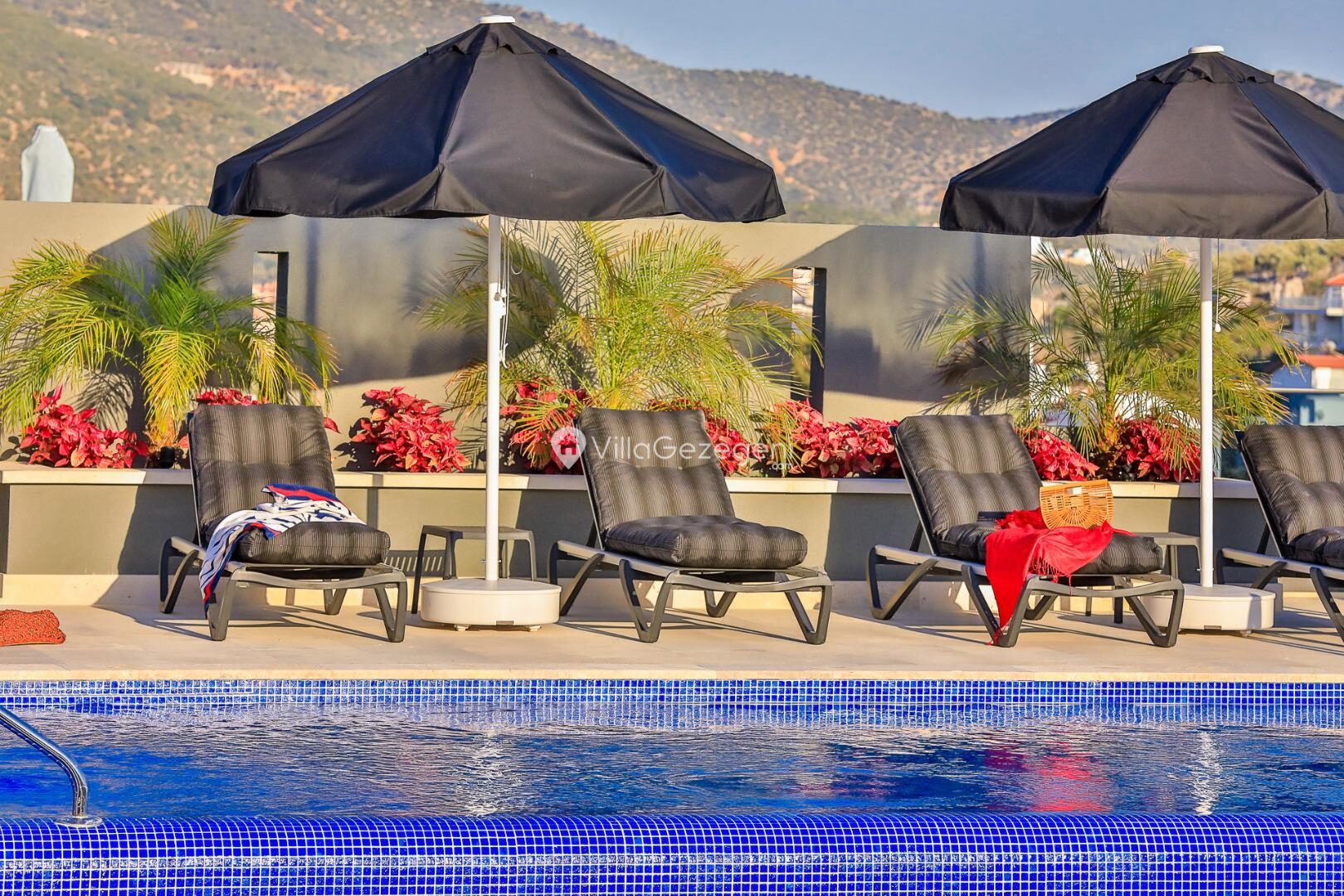 Villa Dreams — 43