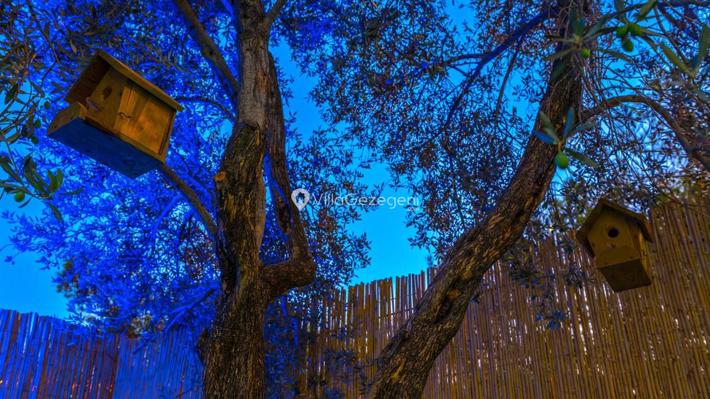 Villa Sezar Patara — 51
