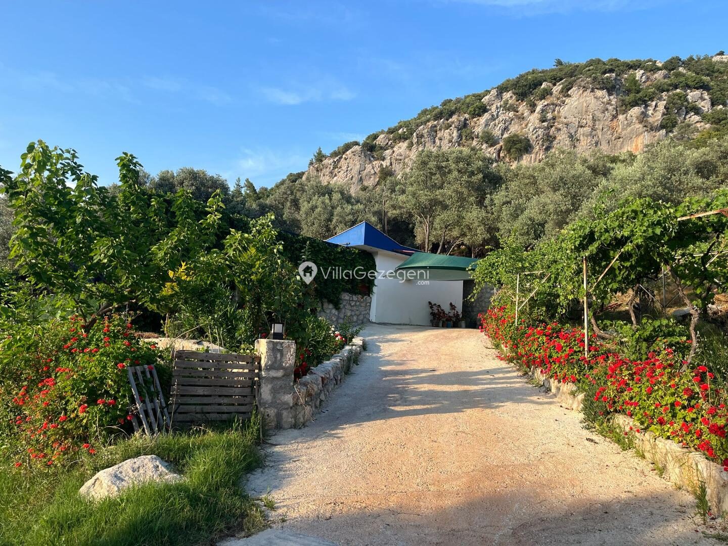 Villa Yaşam — 64