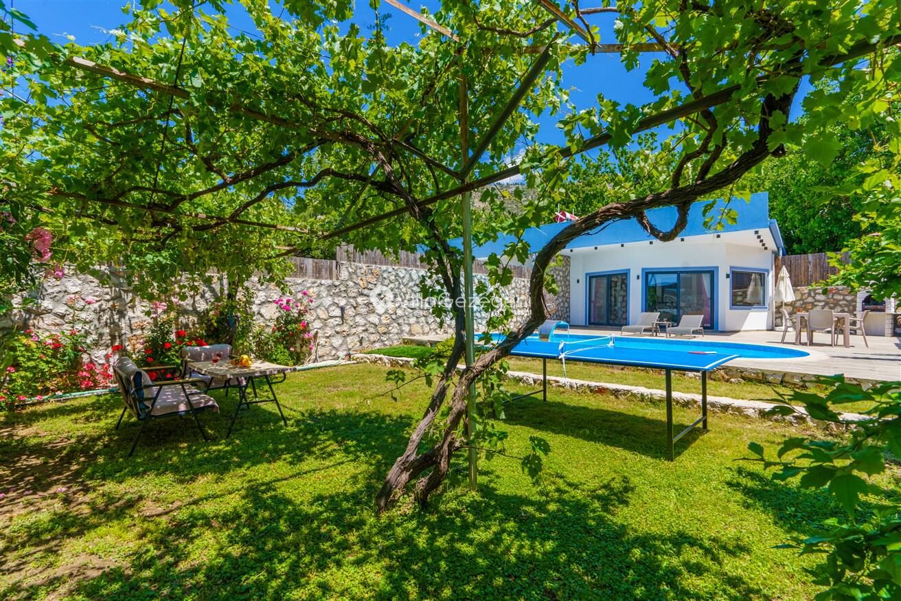 Villa Yek — 50