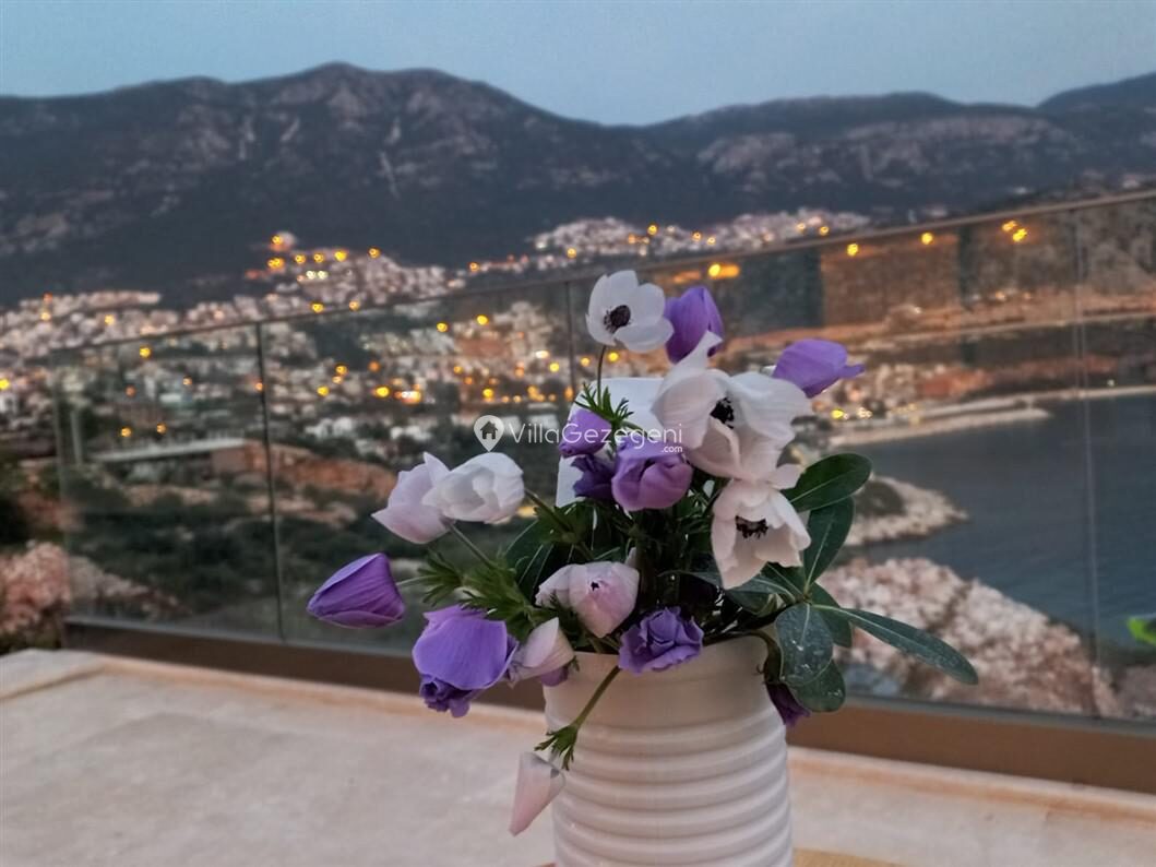 Villa Banu Exclusive — 122