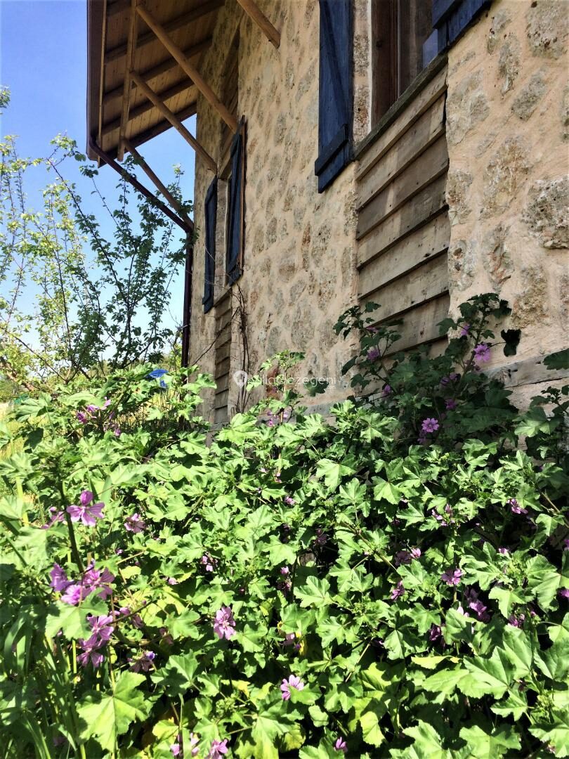Villa Ambar Ceviz — 17