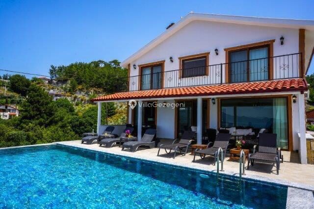 Villa Turtle Life — 1