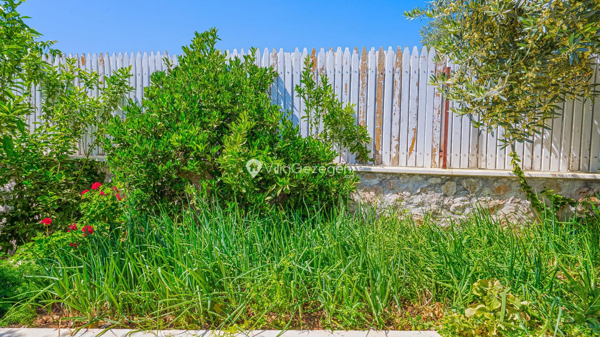 Villa Emma — 49