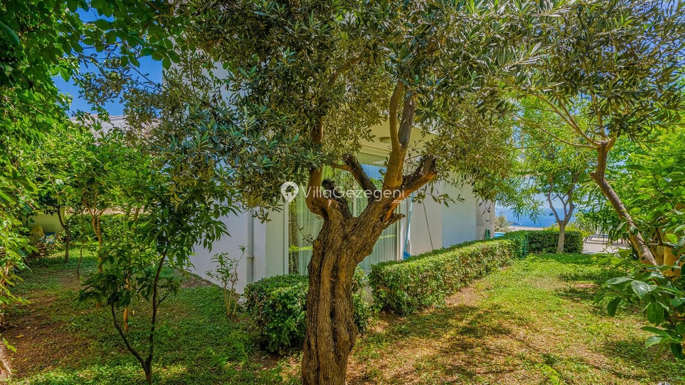 Villa Al Nuzha — 30