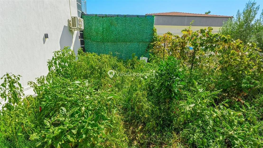 Villa Davidof — 46