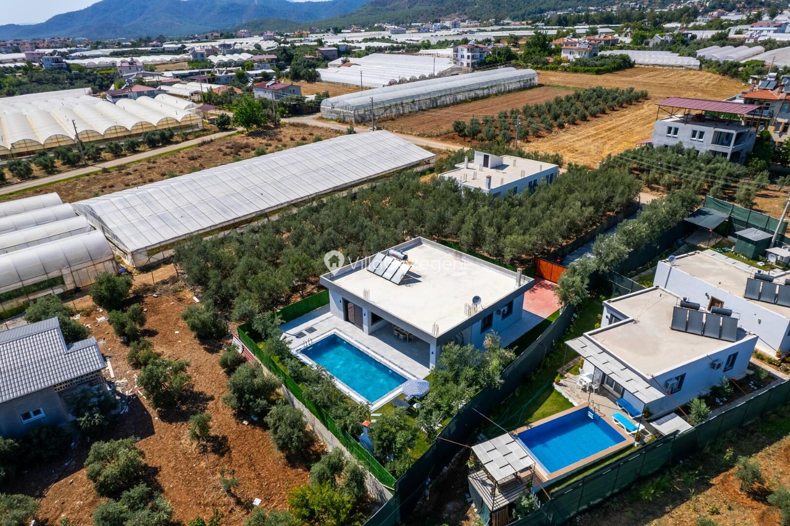 Villa Olive — 48