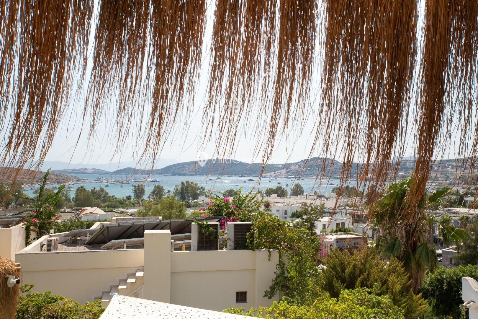 Villa Vg 447 — 57