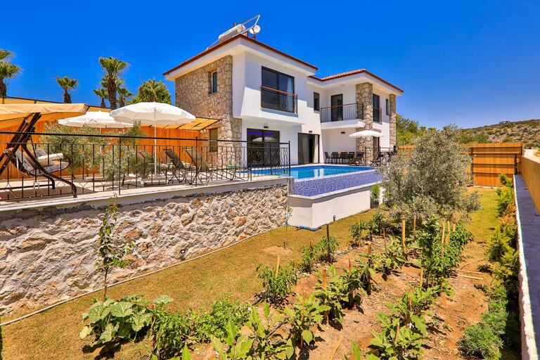 Villa Delfin Green — 3