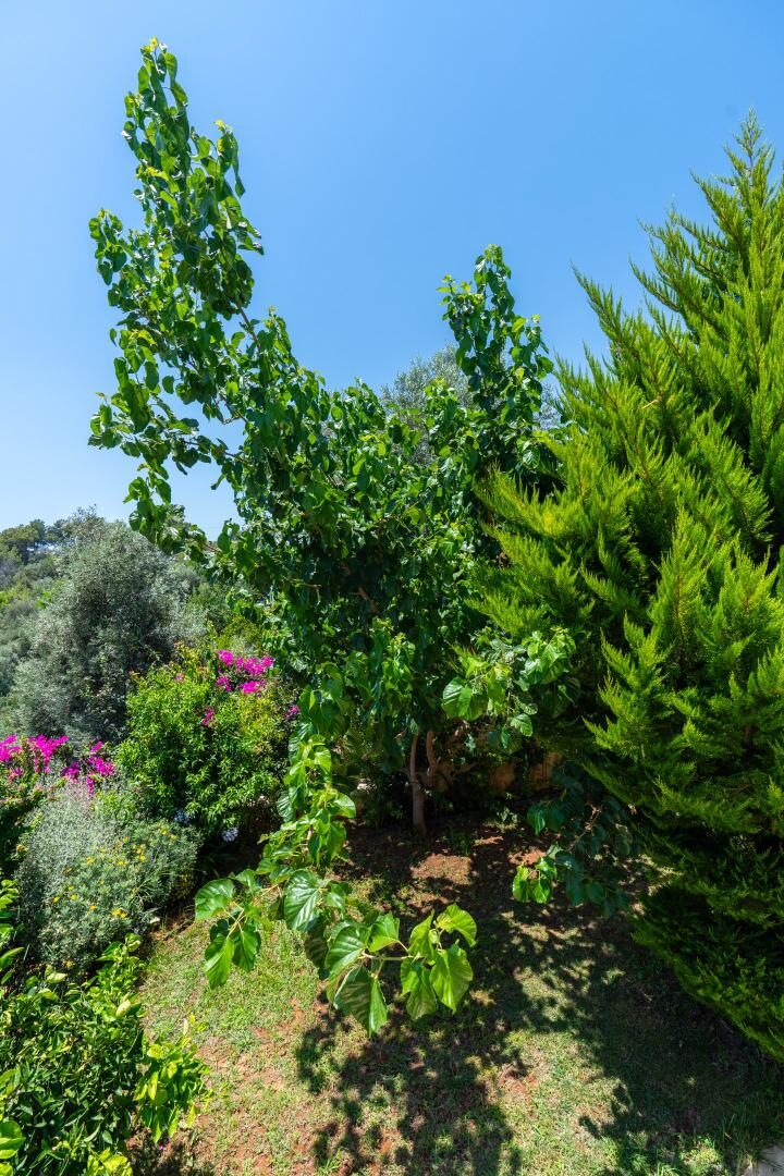 Villa Narin 9 — 24