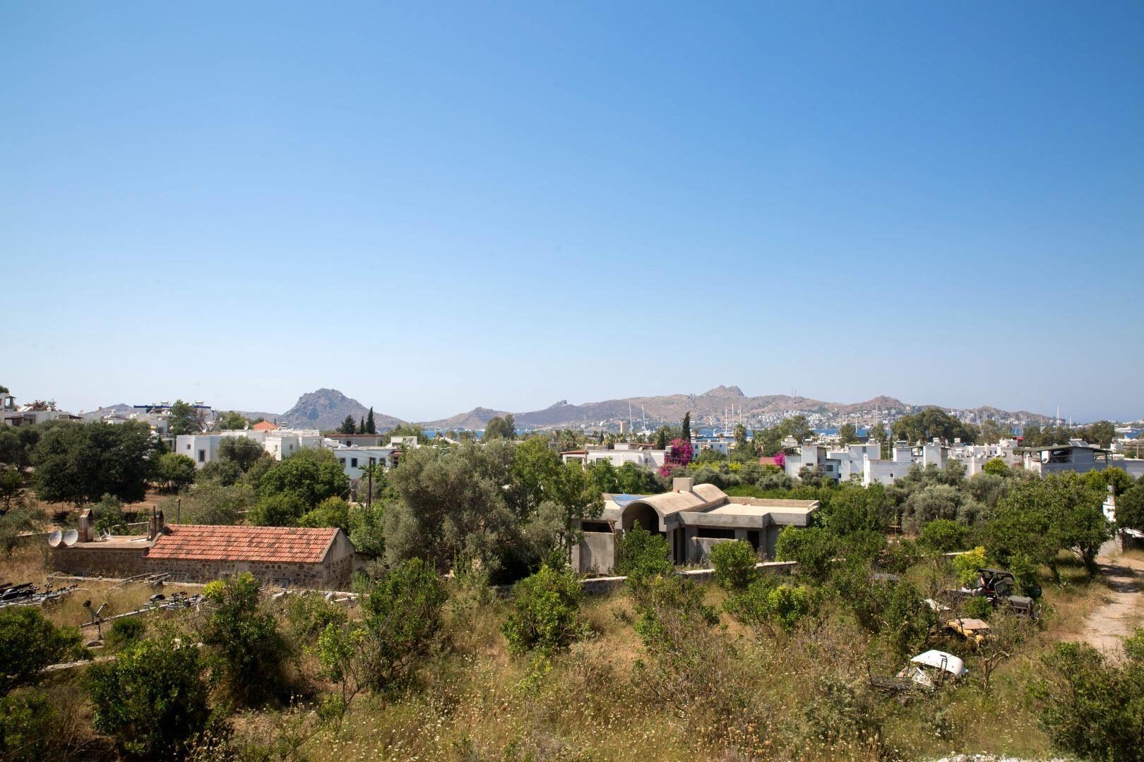 Villa Bambi 443 — 25