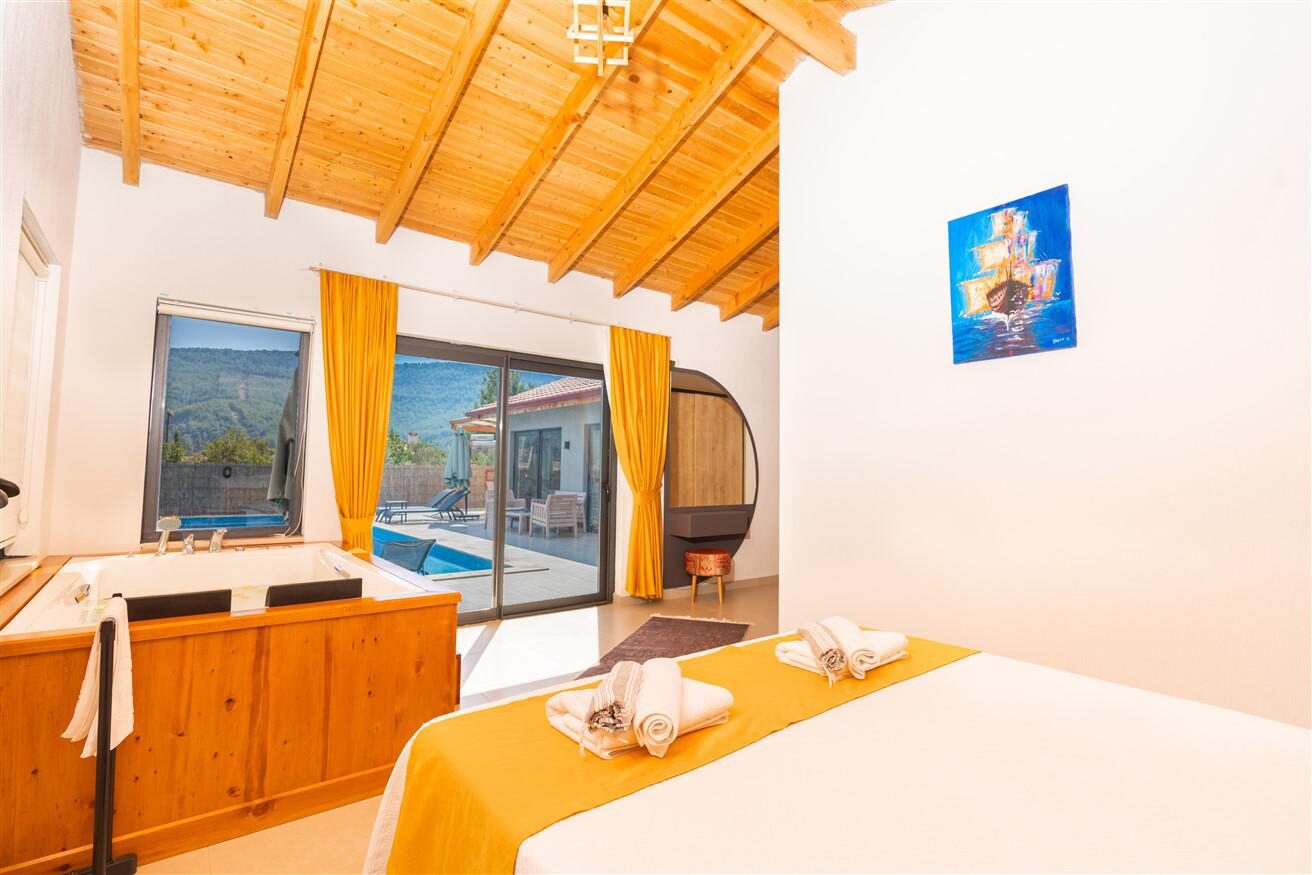 Villa Zelyus — 50