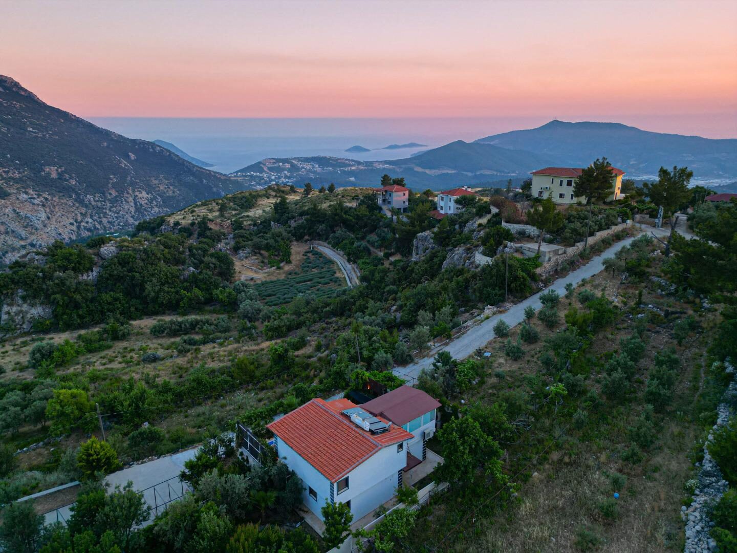 Villa Tepes — 82