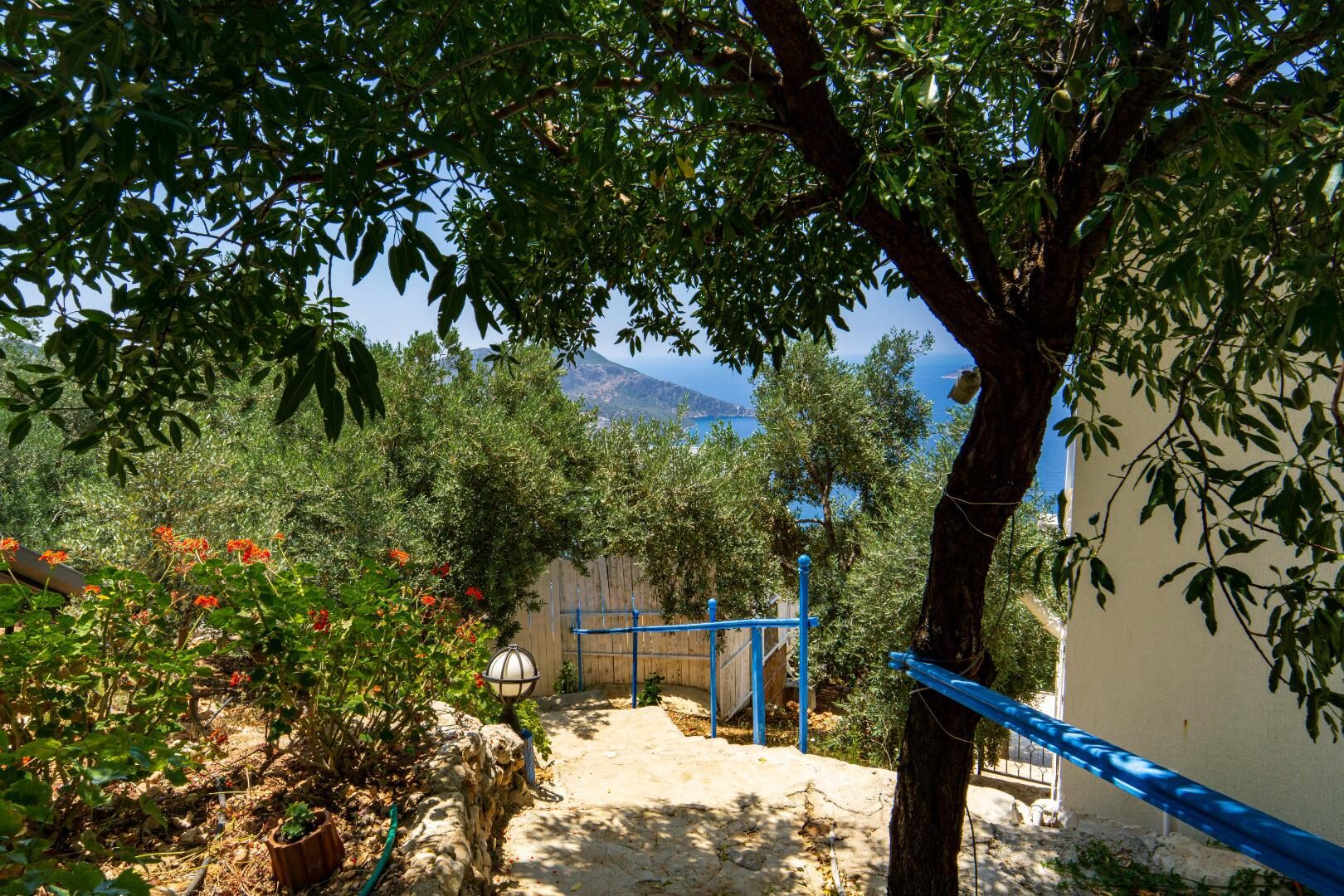 Villa Patika 3 — 15