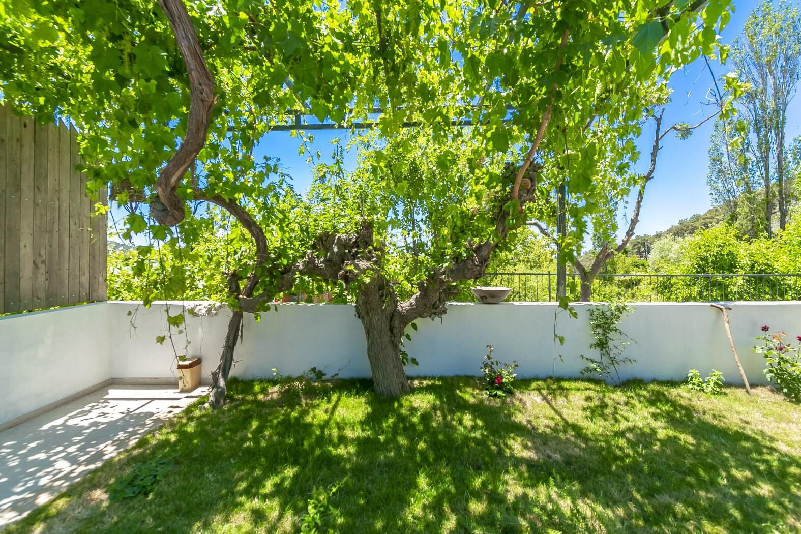 Villa Pierre 1 — 23