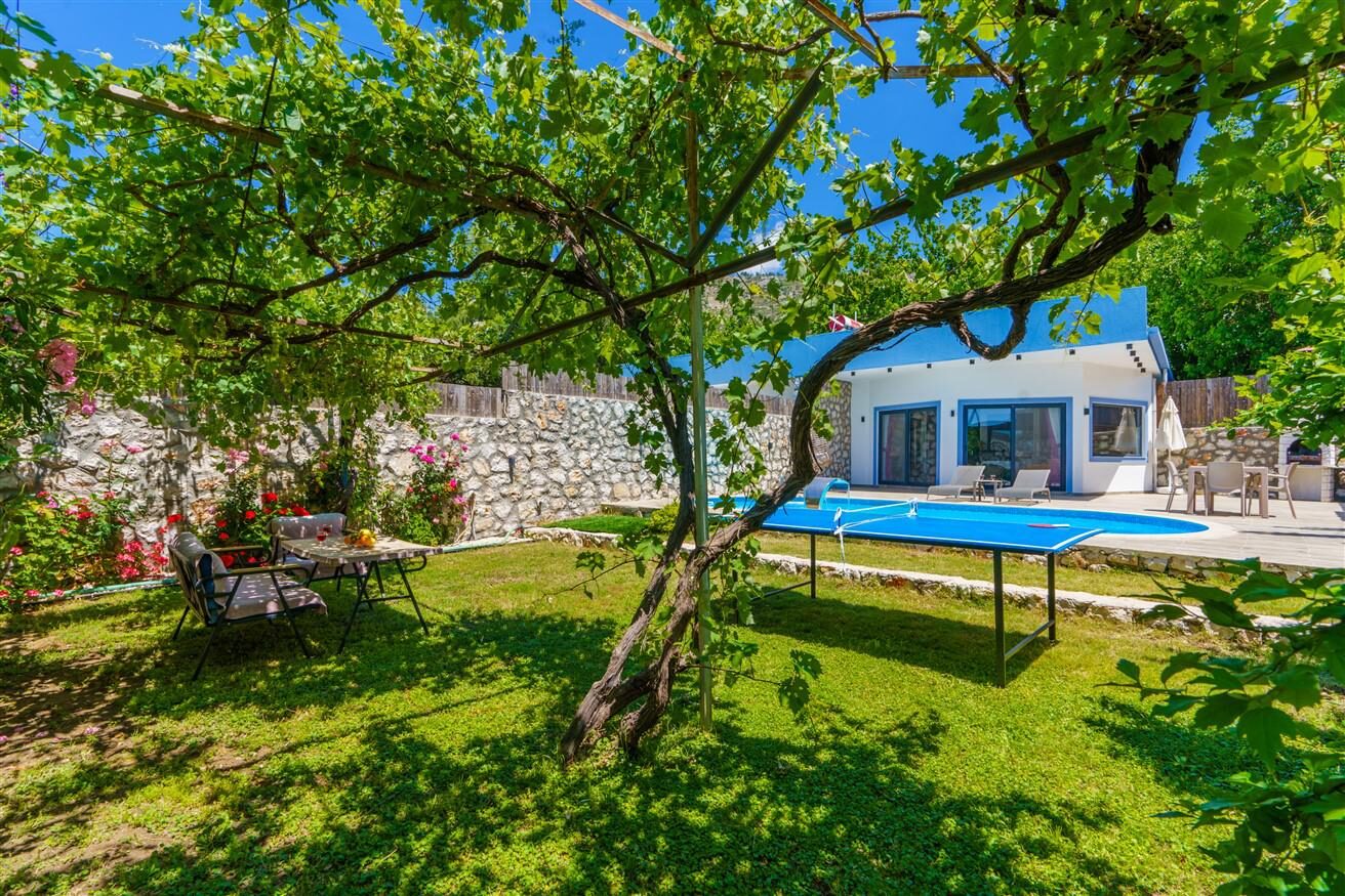 Villa Yek — 50
