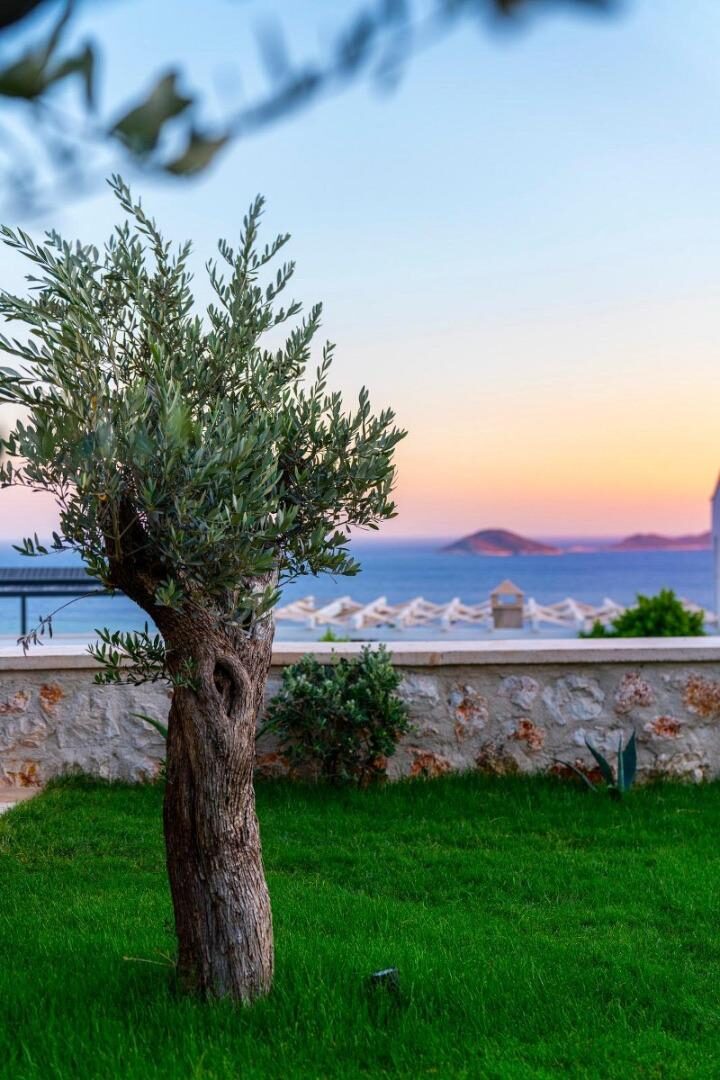 Villa Ayşe Exclusive — 44