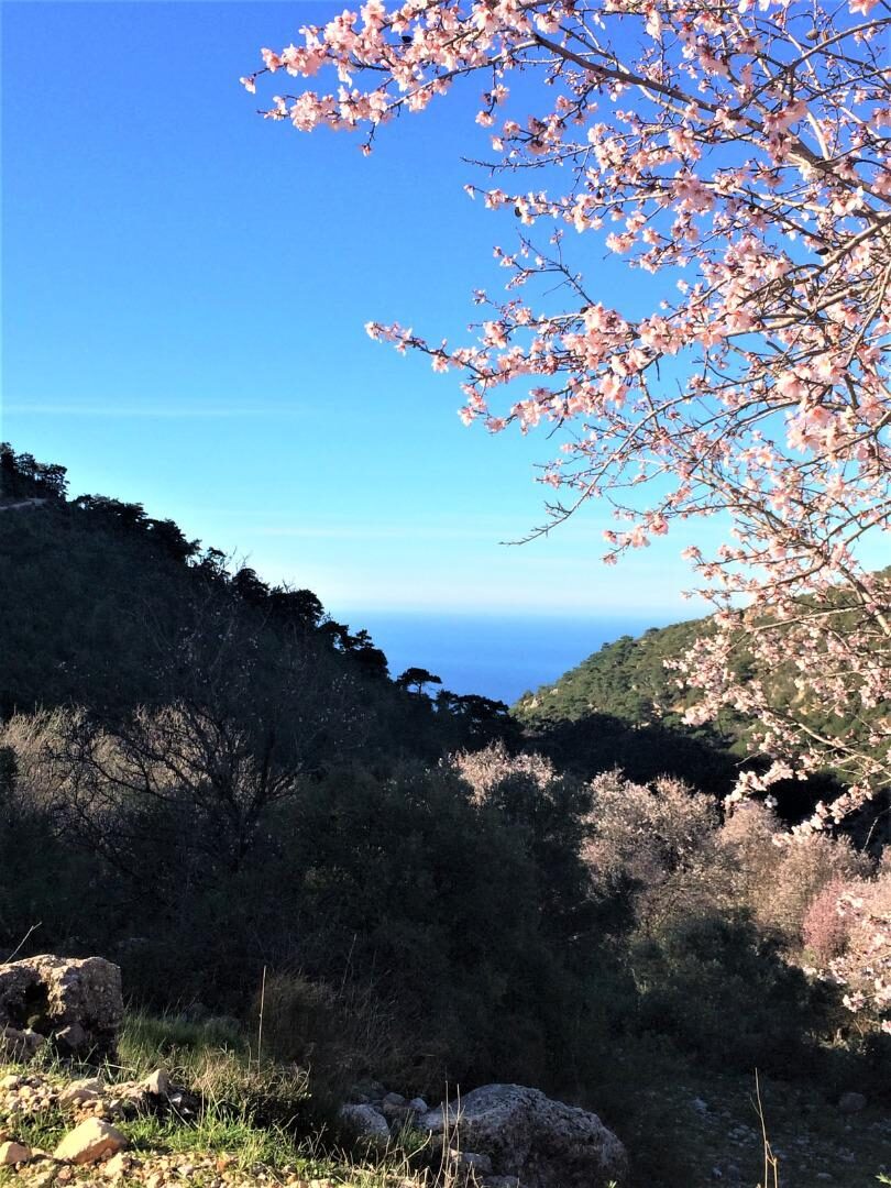 Villa Ambar Ceviz — 25