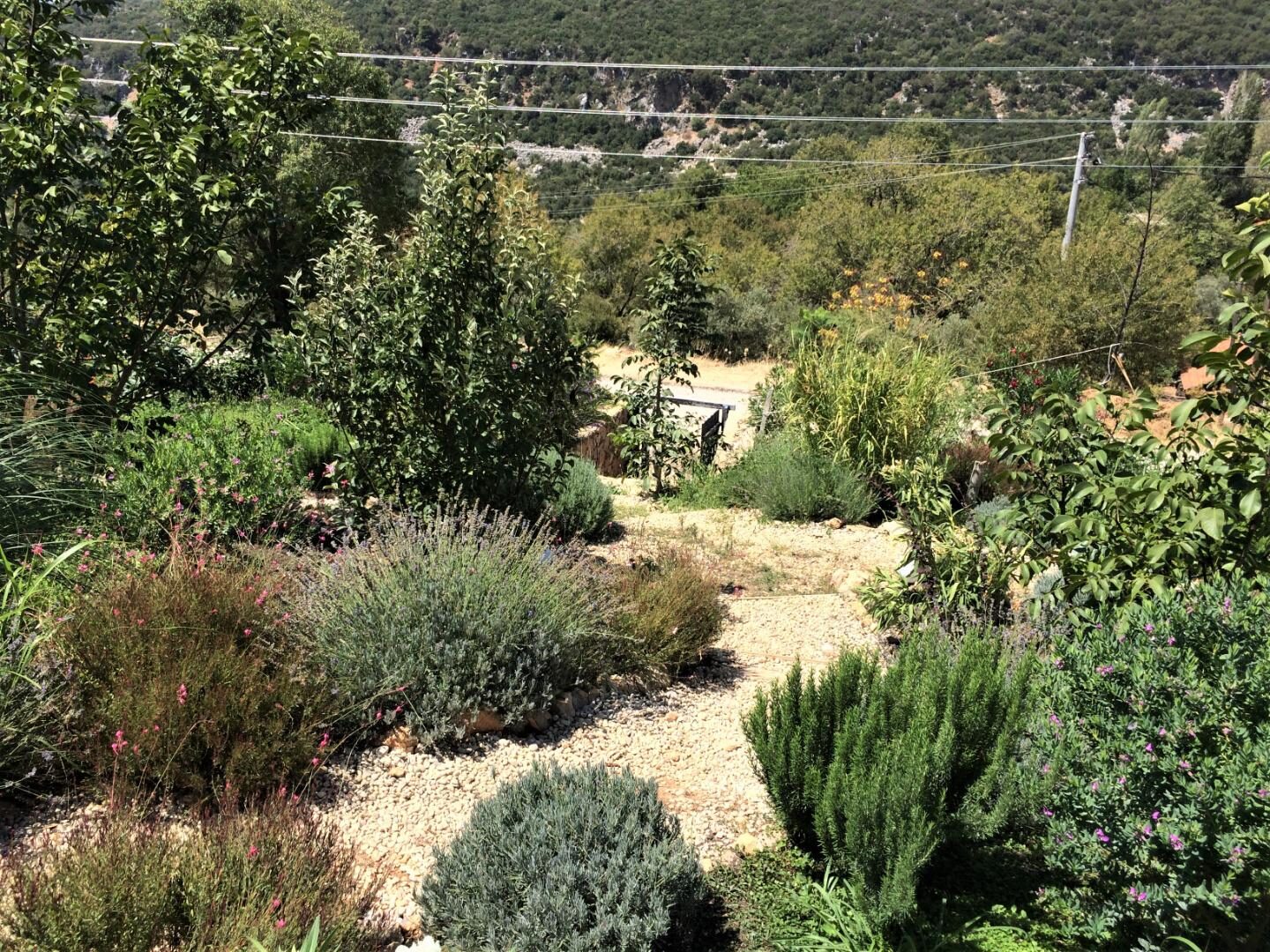 Villa Ambar Ceviz — 44