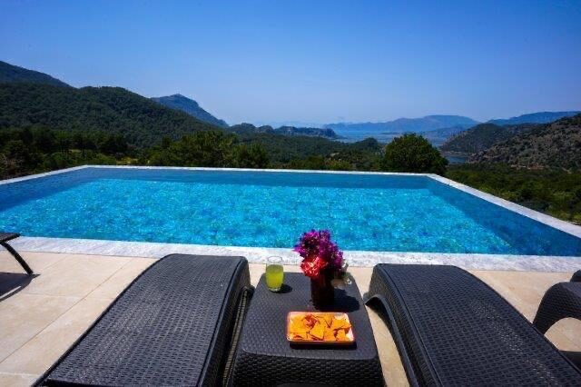Villa Turtle Life — 2