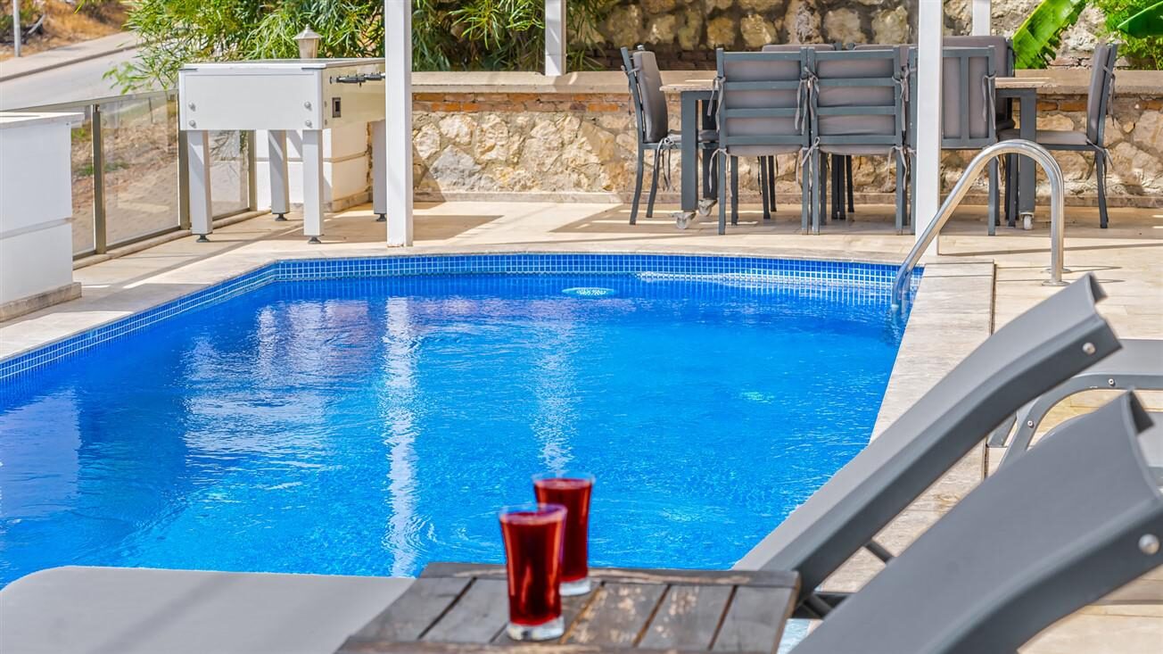 Villa Palm — 19