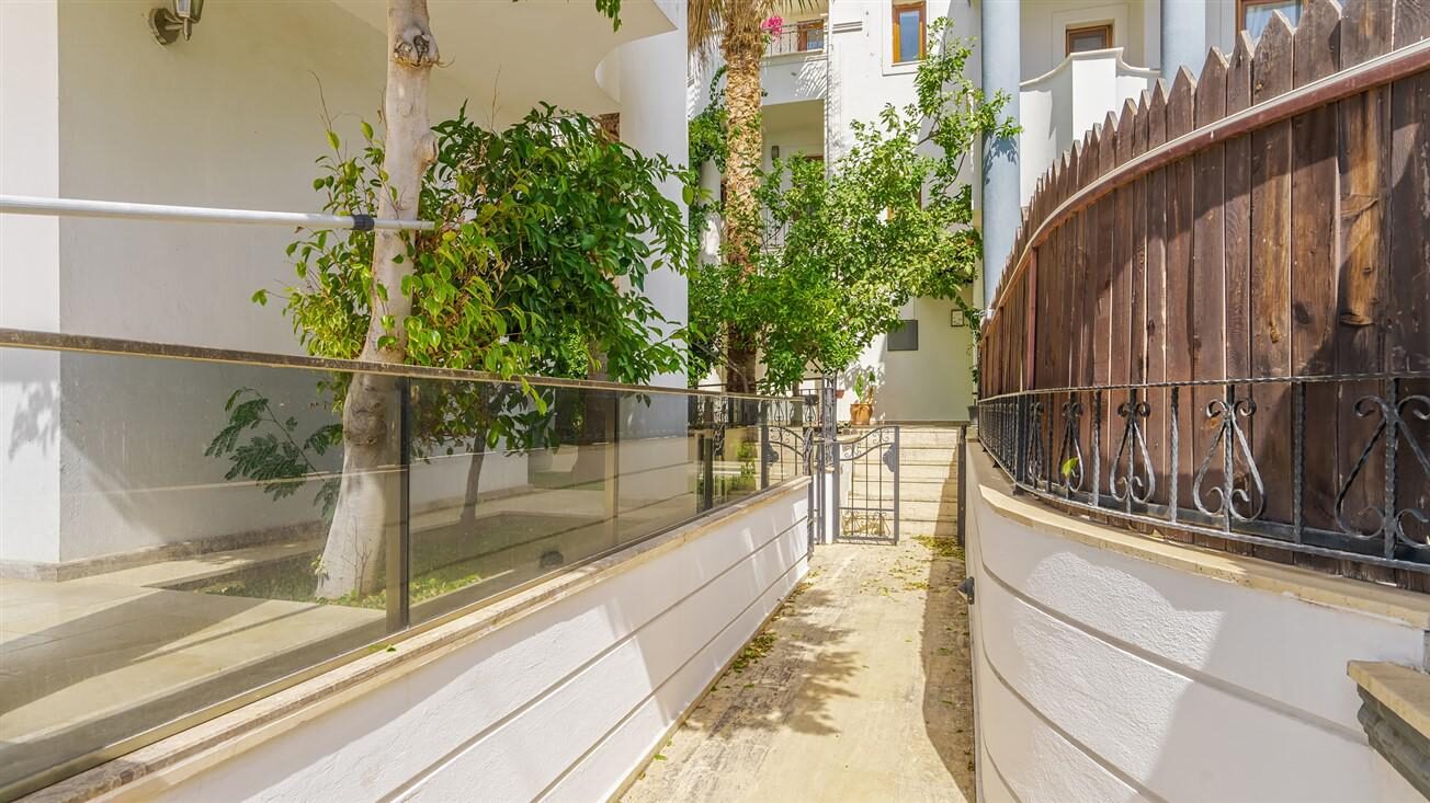 Villa Palm — 55