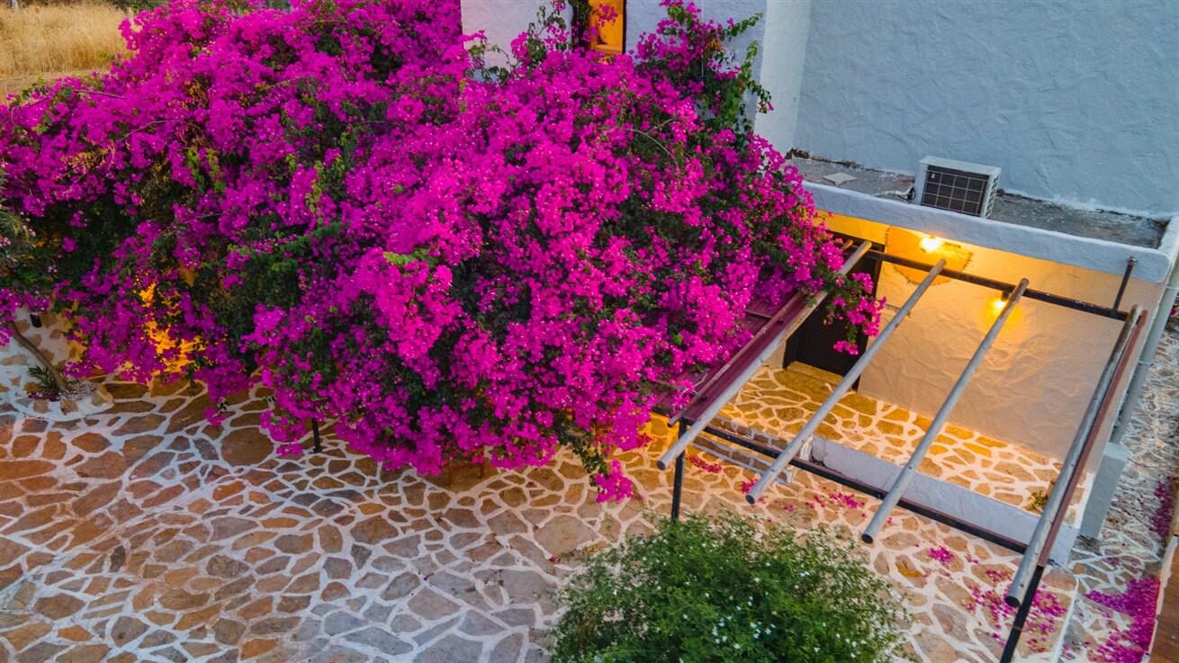 Villa Canan Patara — 78