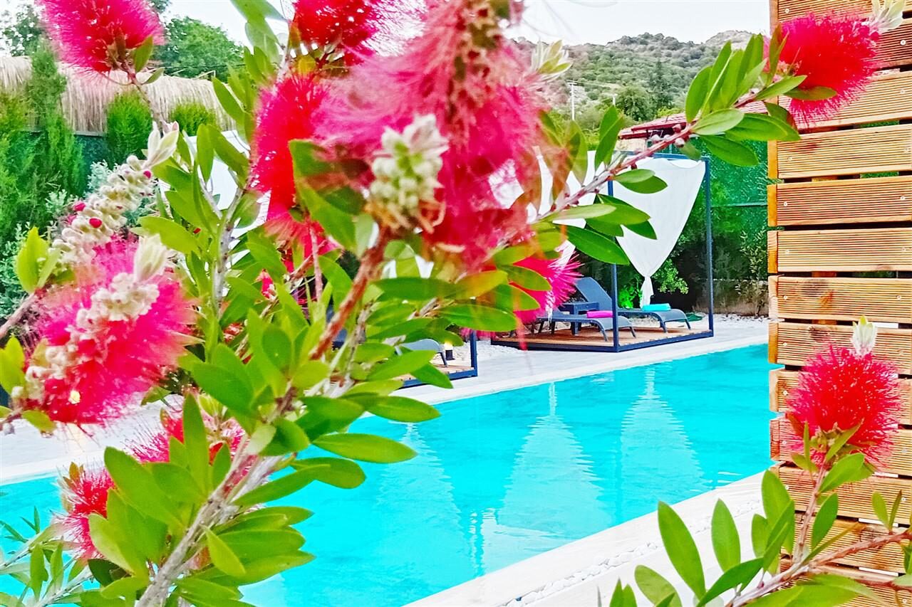 Villa Mamon Luxury Life — 9