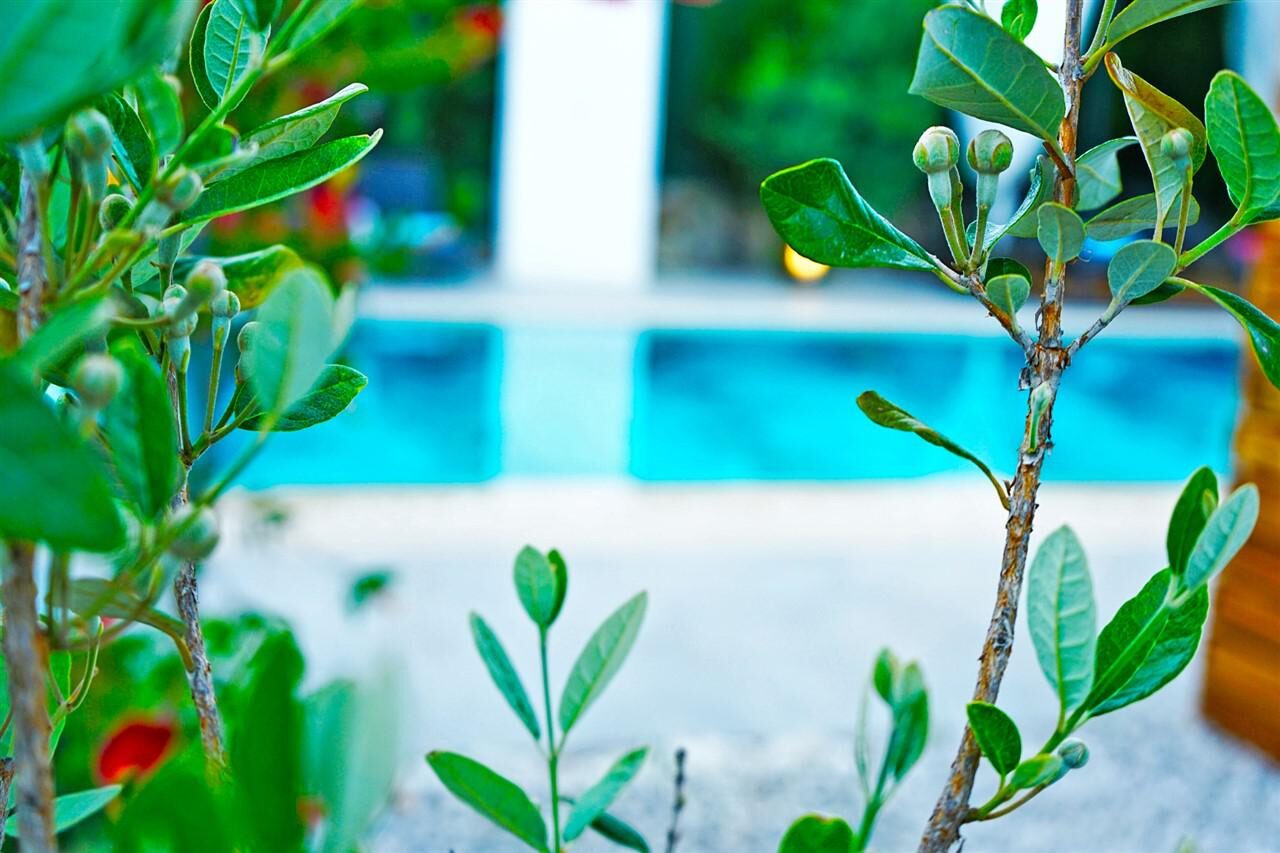Villa Mamon Luxury Life — 169