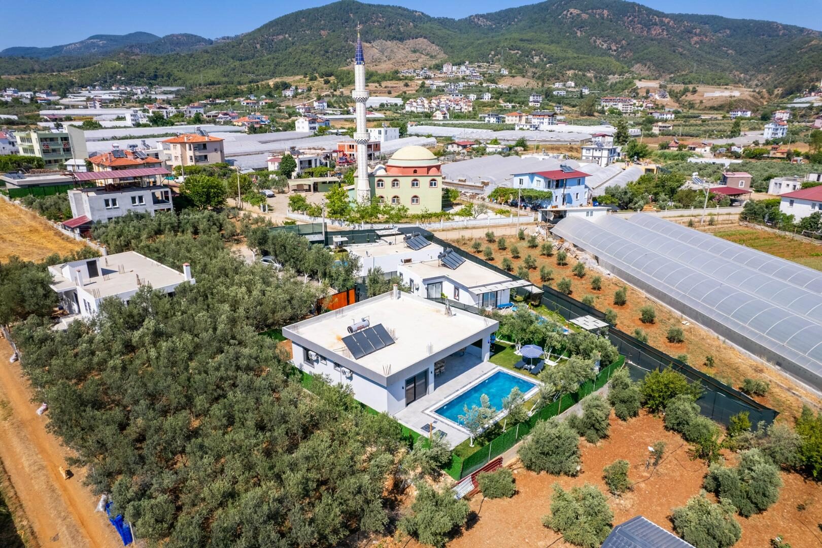 Villa Olive — 50
