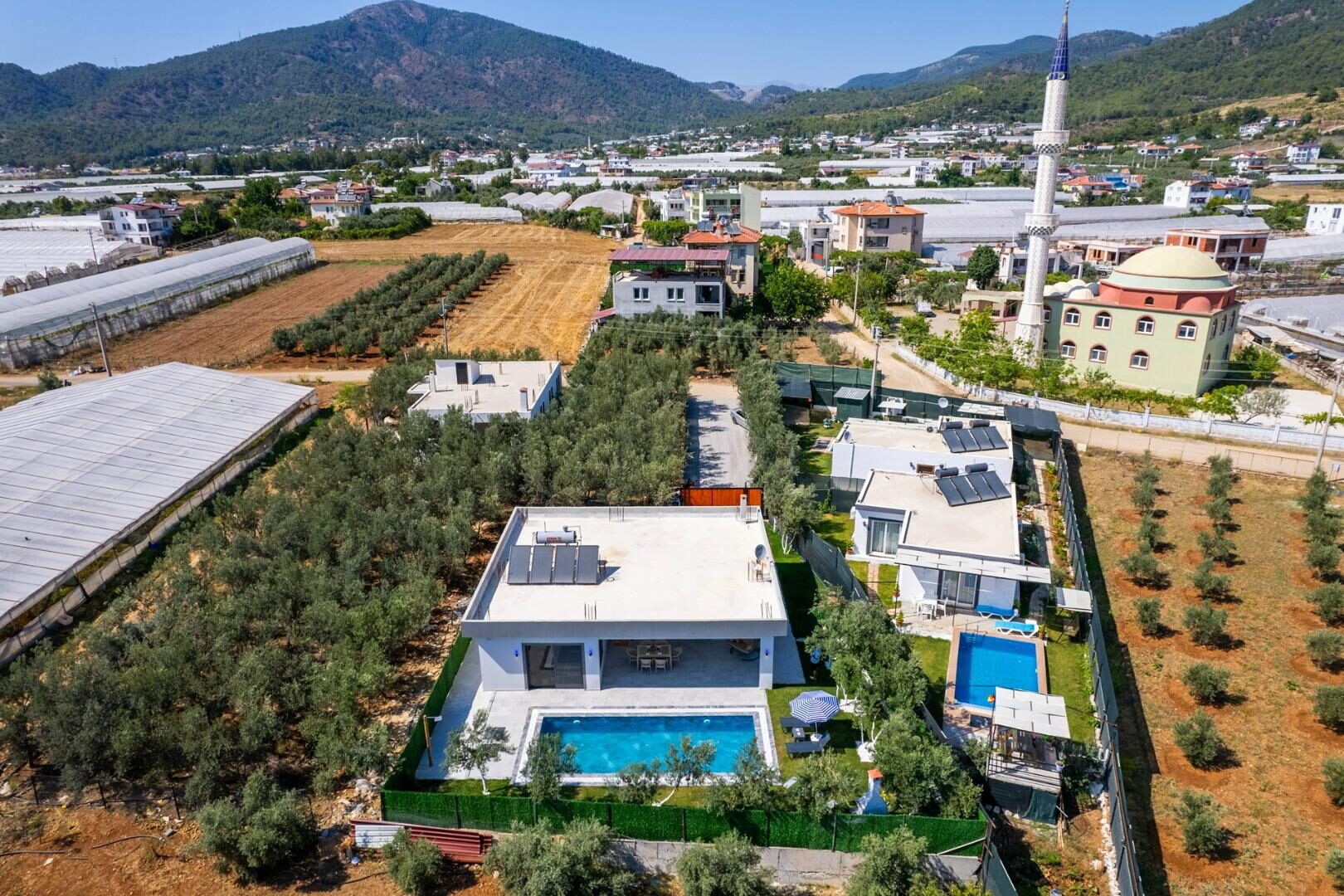Villa Olive — 51