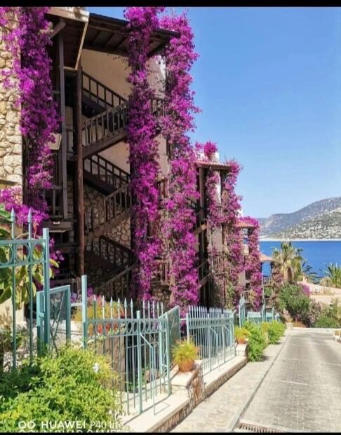 Apart Dolce Vita
