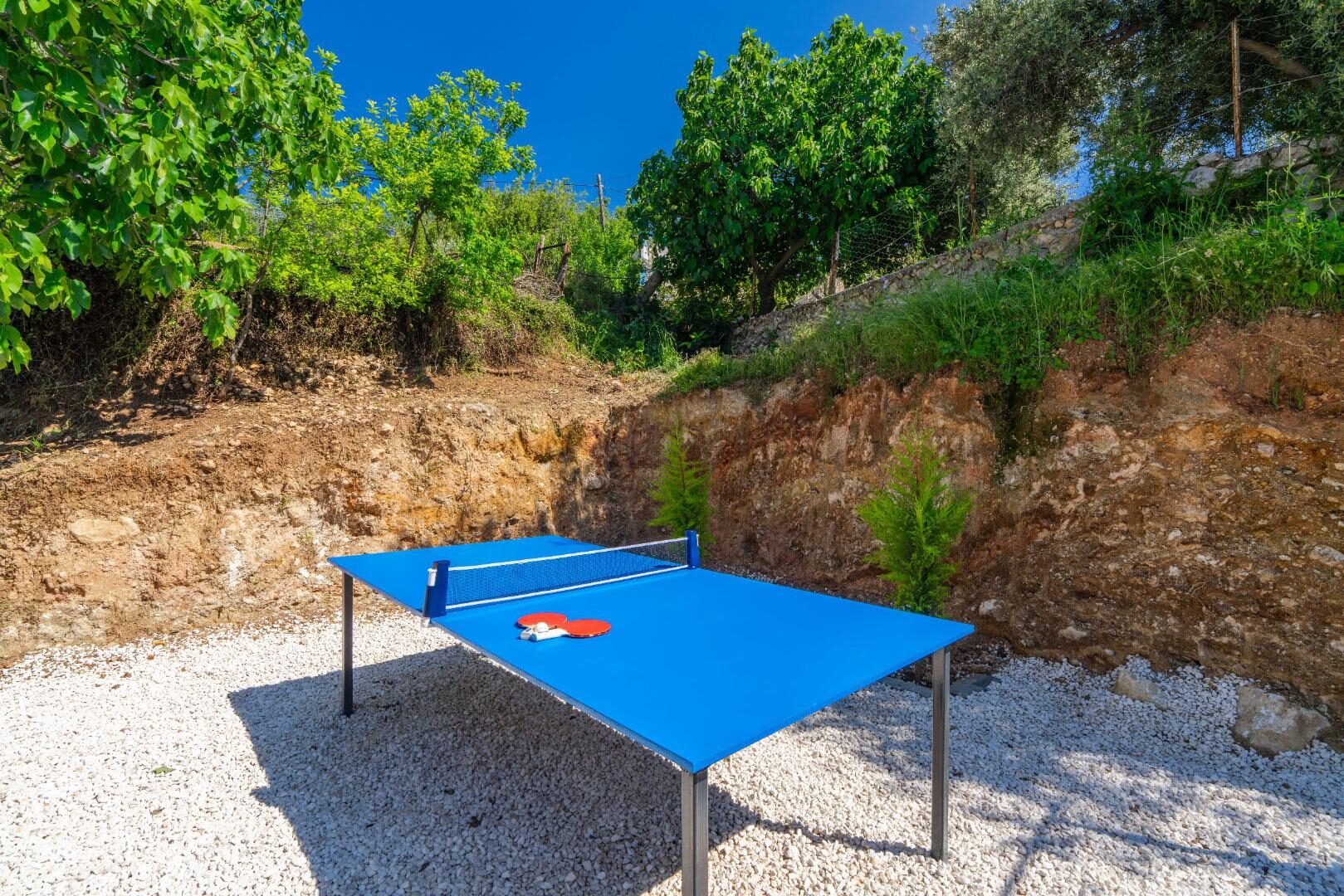Villa Nar Çiçeği Üzümlü — 17