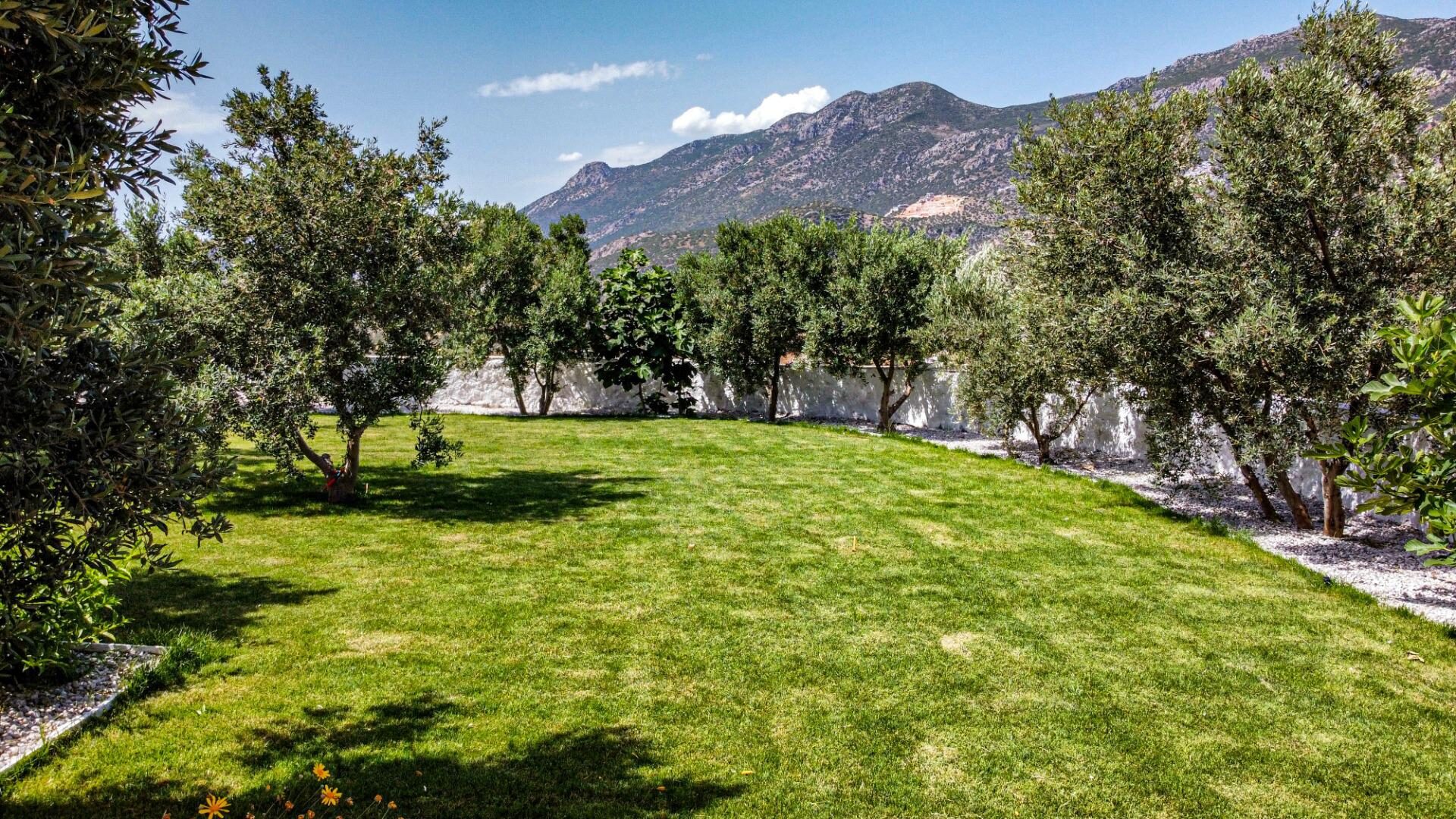 Villa Aristo — 76