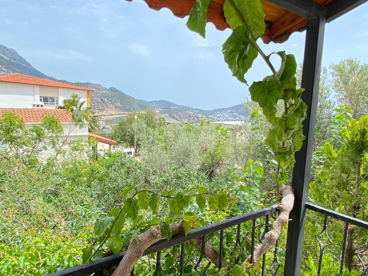 Villa Leto Kleo 1 — 40