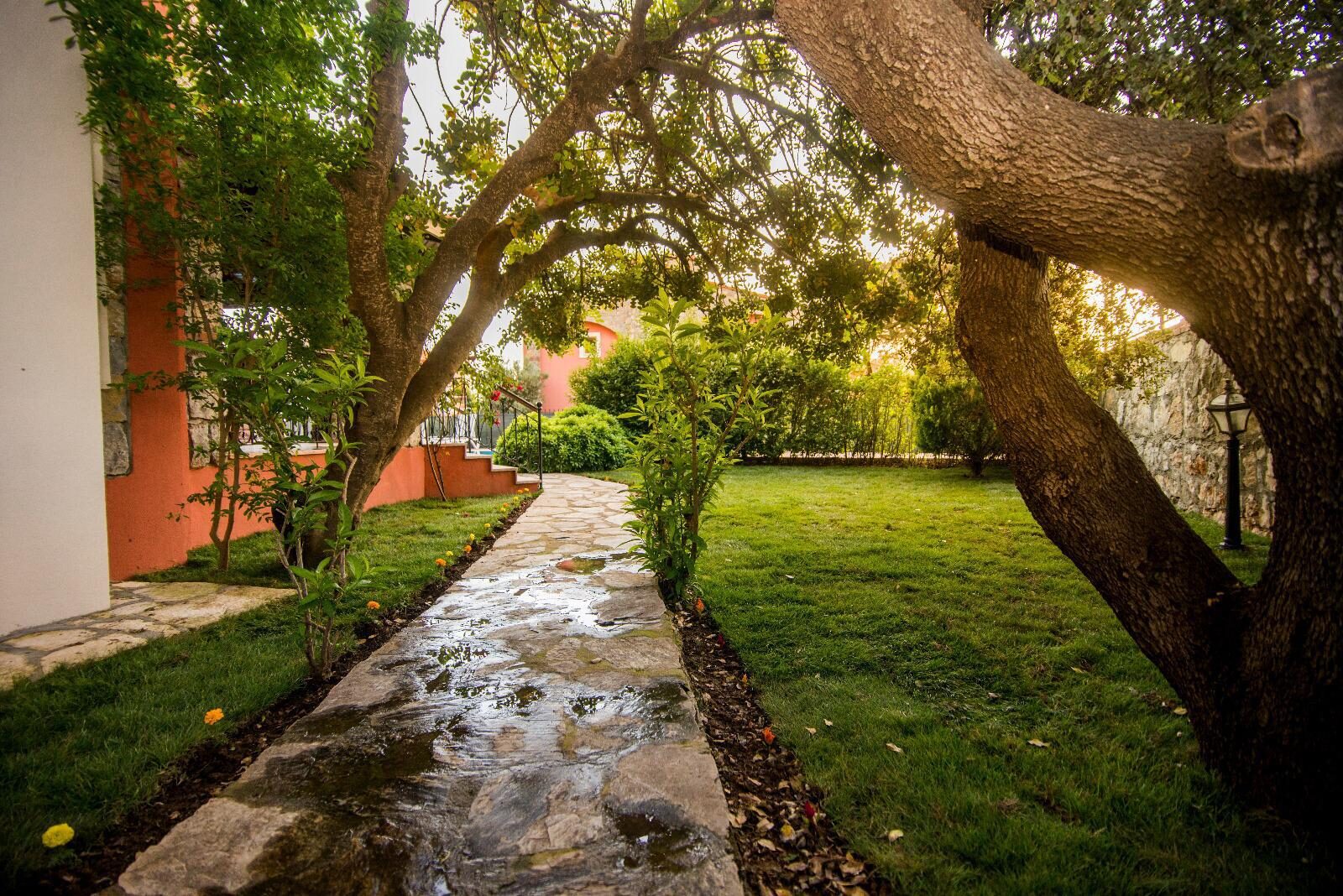 Villa Rota 3 — 3