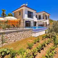 Villa Delfin Green — 3