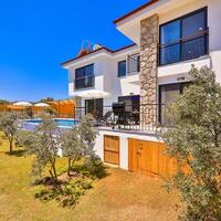 Villa Delfin Green — 4