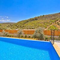 Villa Delfin Green — 10