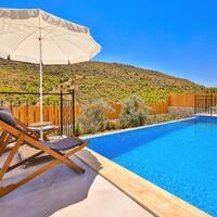 Villa Delfin Green — 11