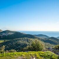 Villa Spring 2 — 8