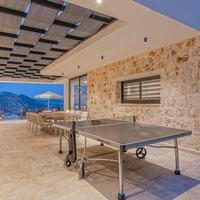 Villa Lion — 50