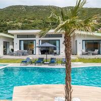 Villa Green House — 2