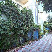 Villa Natural Çavdır — 31