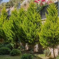 Villa Melida Duo — 42