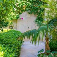 Villa Melisa 1 — 35
