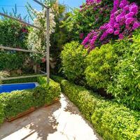 Villa Melisa 1 — 48