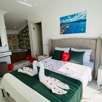 Villa Çınar 4 Üzümlü — 10