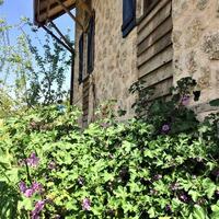 Villa Ambar Ceviz — 17